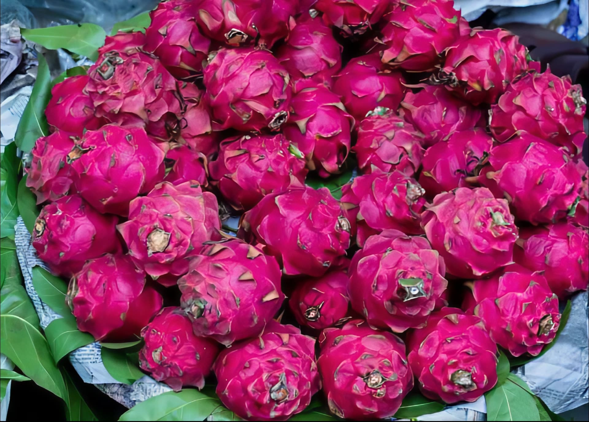Benefits of Dragon Fruit: Nutrition Facts and Healthy Tips — Core Types, Nutrient Breakdown, and Prep Guide