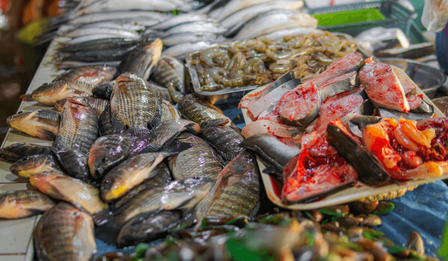 Guide to Picking the Freshest Seafood in the Market — Core Selection Metrics, Popular Varieties, and Shell Tests