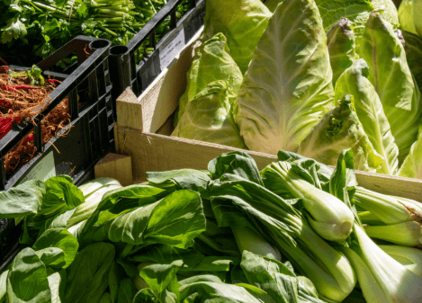 Top 5 Farm-Fresh Greens to Always Keep in Your Kitchen — Why Your Household Needs Them, Creative Ways to Cook Them, and How to Source the Freshest Local Produce Online