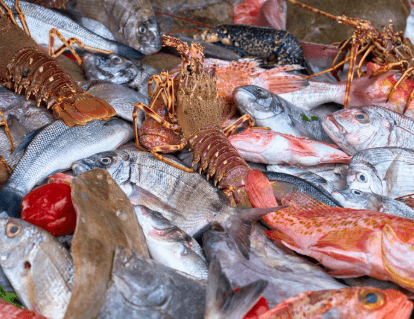 Top 9 Fresh Seafood Picks — Best Ways to Prepare Them & How to Order Locally from Farmyhub