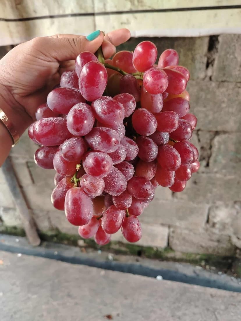 Seedless Grapes – Regular Price ₱115/kg