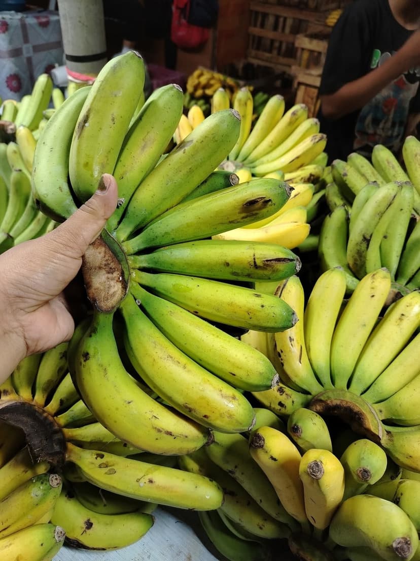 Saging Lacatan Small – ₱55 per kilo (Minimum 1 Pile)