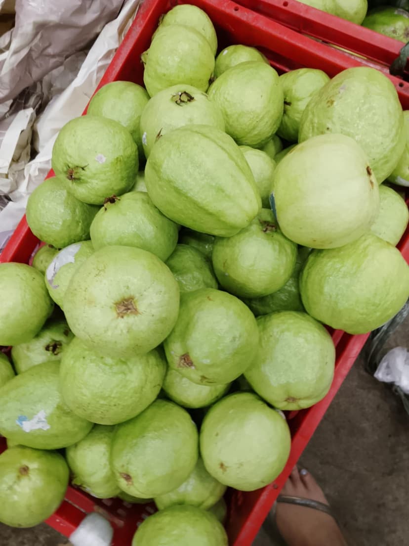 GUAVA / BAYABAS SUPPLIER! 