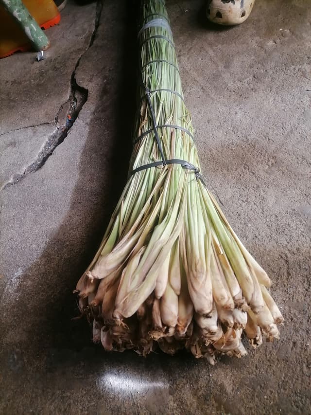 lemongrass / tanglad 