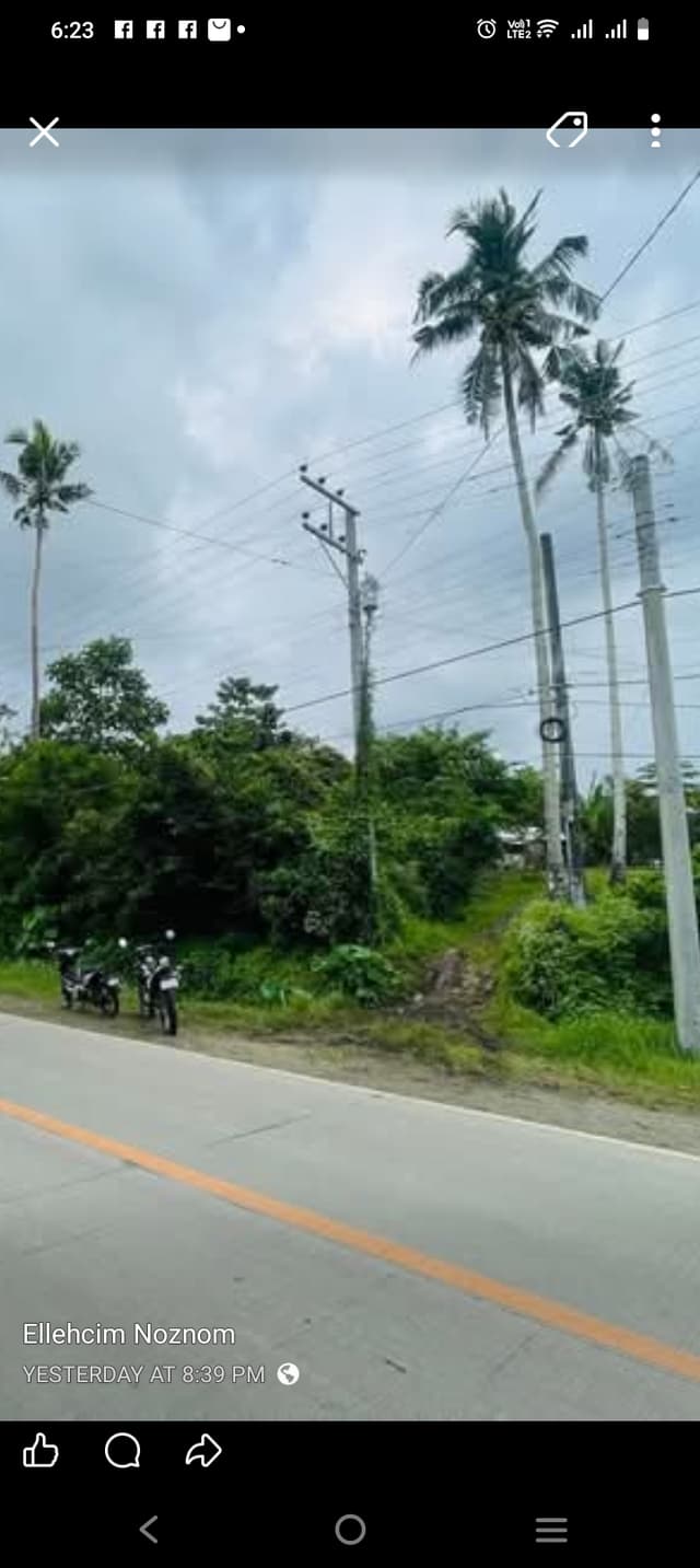 6 ha Farm lot in Bohol 