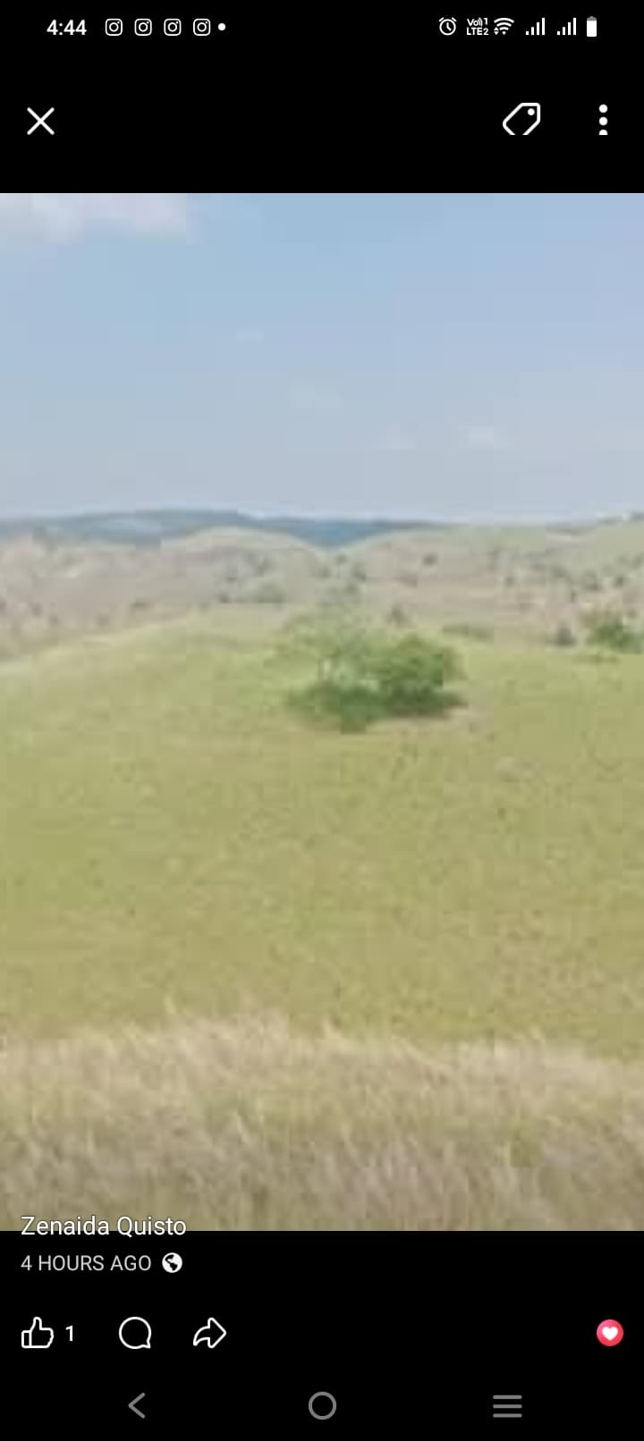 12 ha farm lot for sale in jetafe, Bohol 