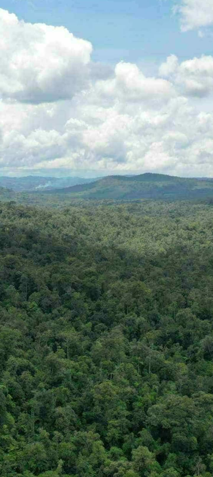 Large farm lot in Laak, Davao de Oro 