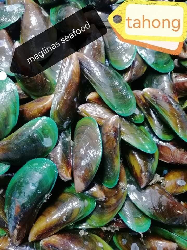 Tahong – Big (Mussels)