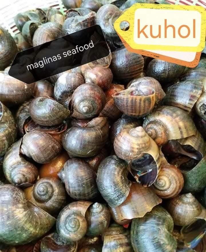 Kuhol (Snails)