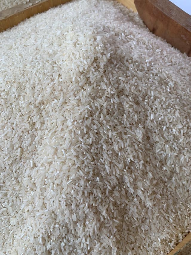 Jasmine premium rice