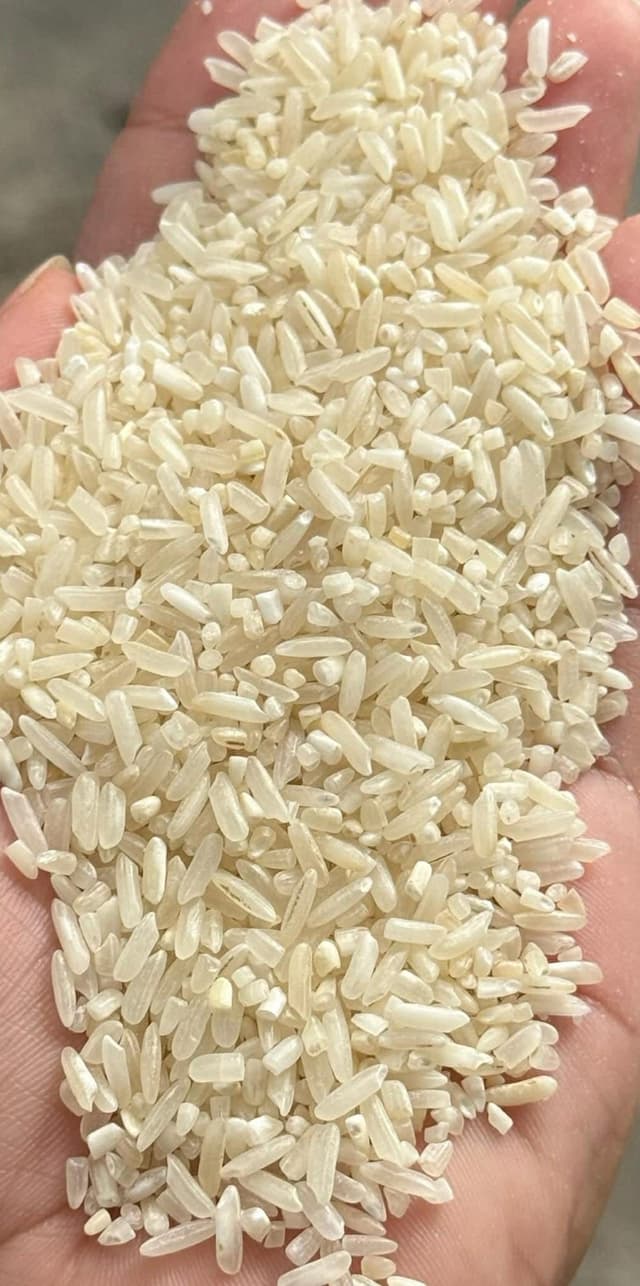 New harvest spotted rice