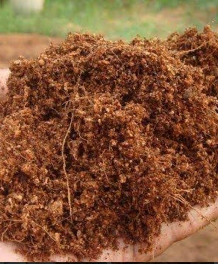 Coco peat
