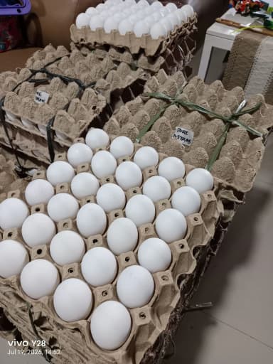Farm Fresh Eggs