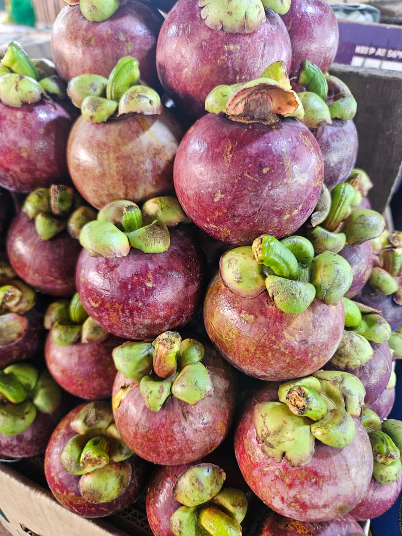 MANGOSTEEN (MX3)