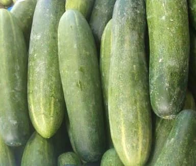 Pepino (Cucumber) - Locally Grown