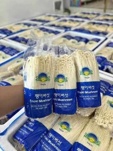 Davao City Fresh Enoki Mushrooms