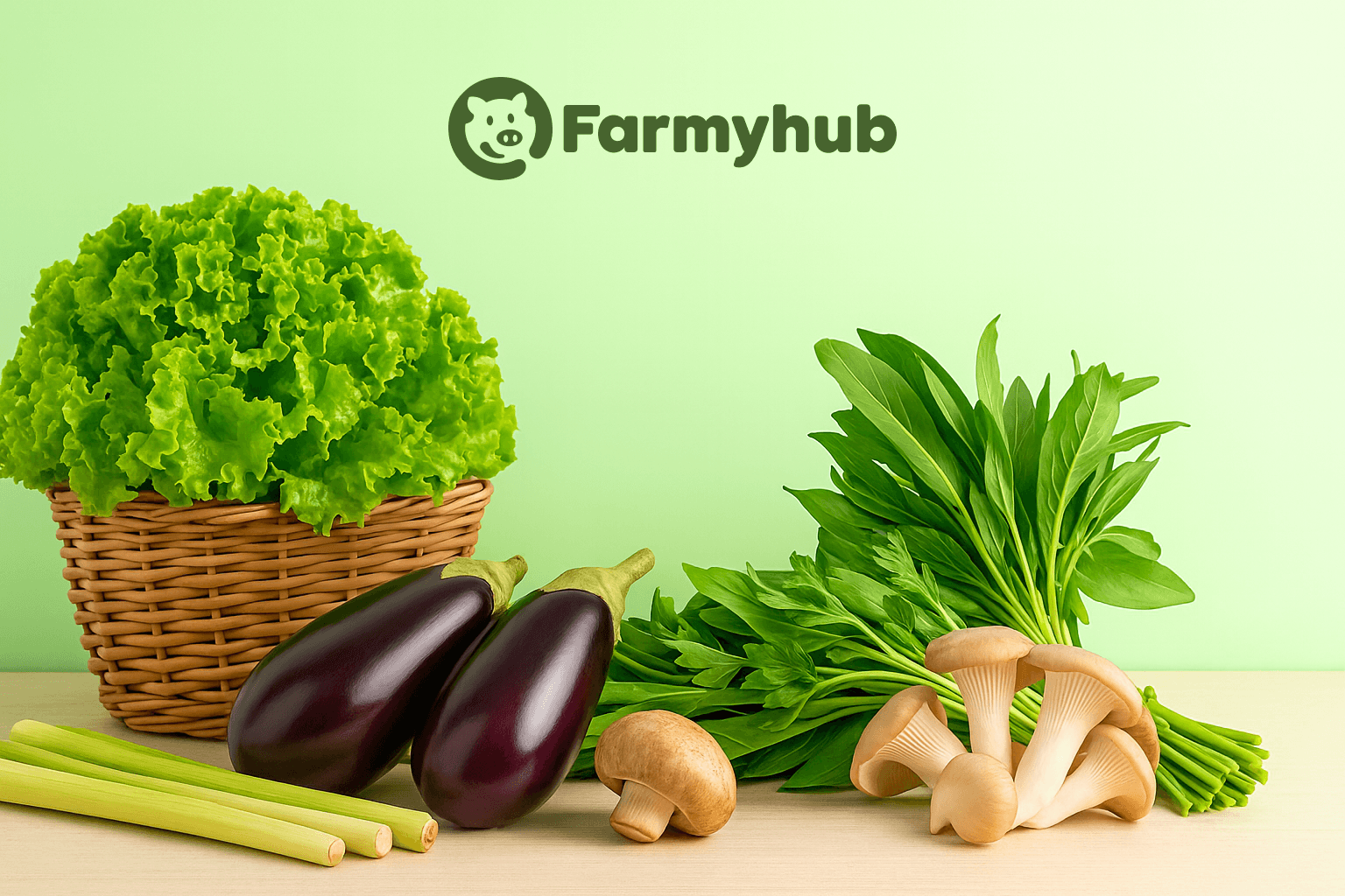 Top 11 FarmyHub Vegetables in the Philippines — From Lettuce to Lemongrass