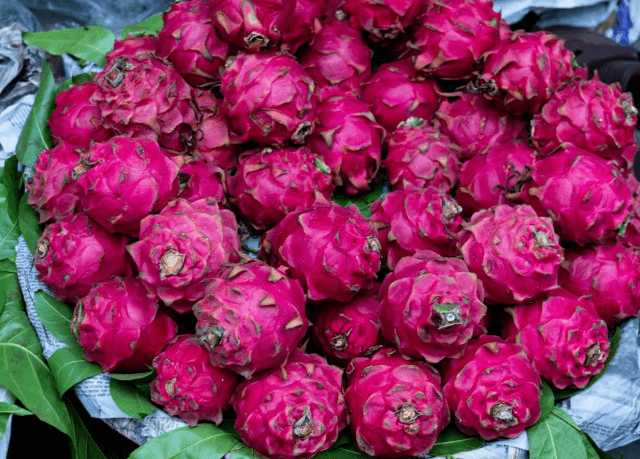 Benefits of Dragon Fruit: Nutrition Facts and Healthy Tips