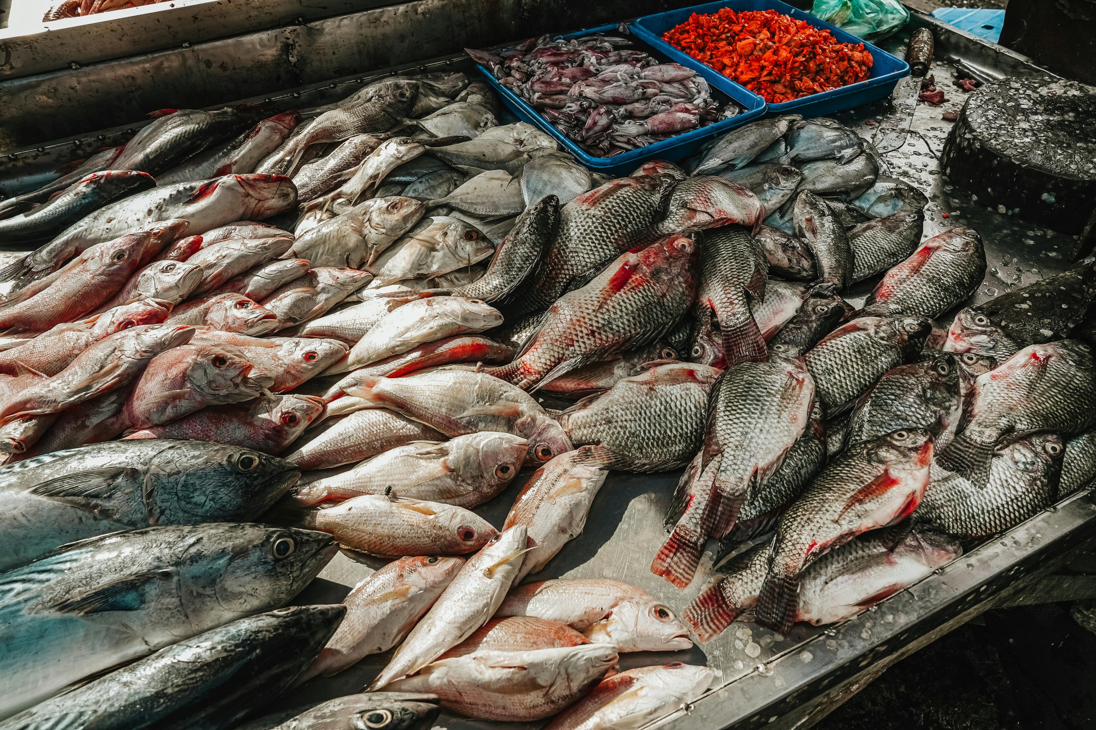 The Top 4 Fresh Seafood Picks in the Markets This Season (May–June) — Foods That Are In Season, How to Pick the Best Quality, and Why It’s Better to Buy Local