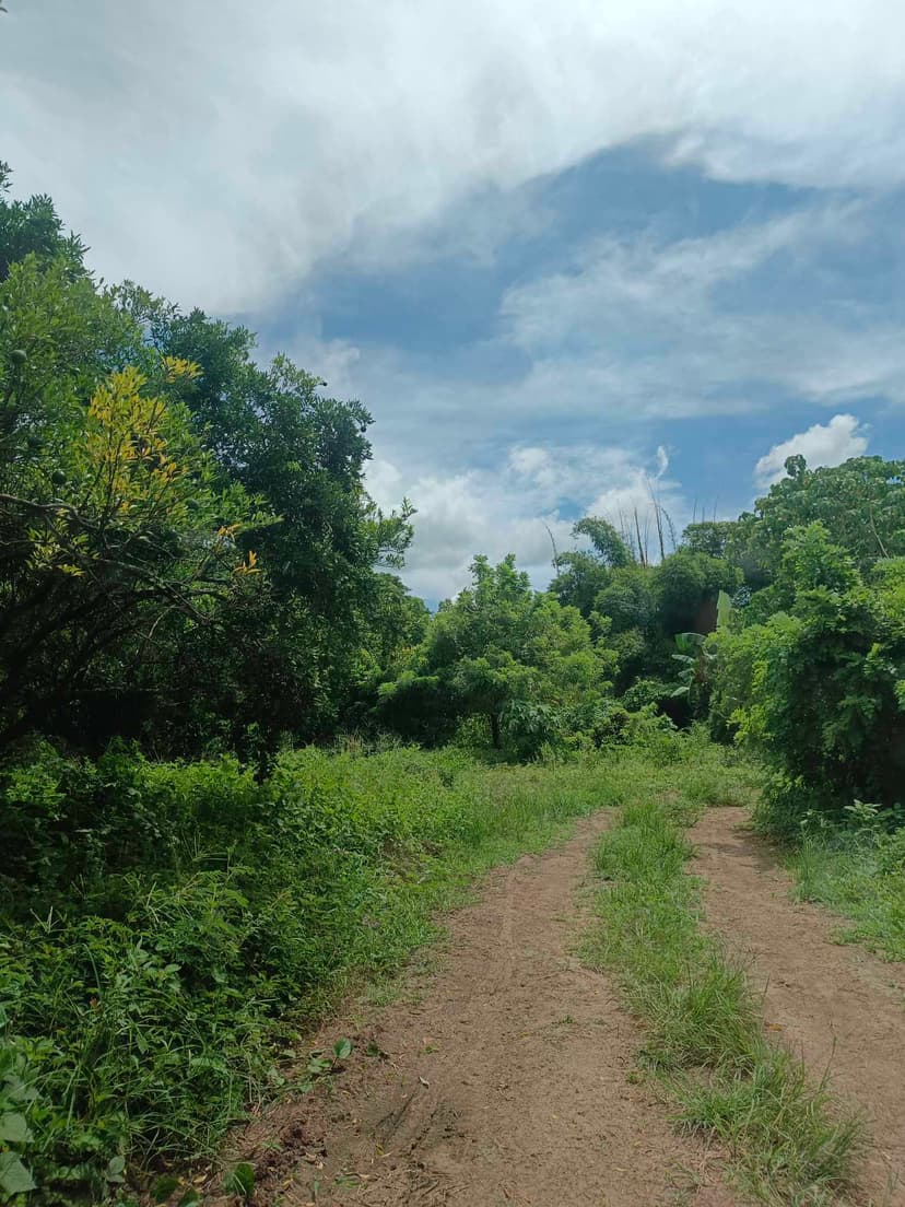 HURRY ‼️ 2 LOTS LEFT‼️