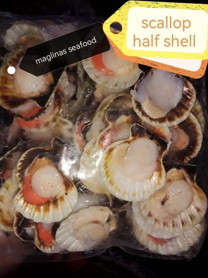 Scallop ā Half Shell