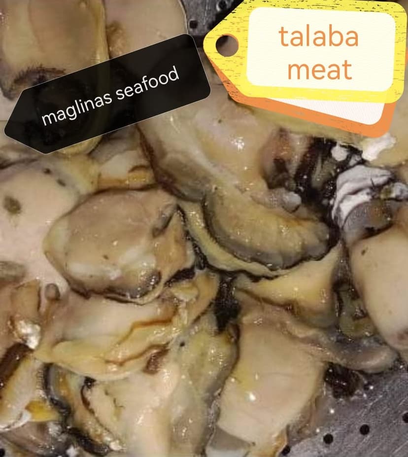 Talaba Meat (Oyster Meat)