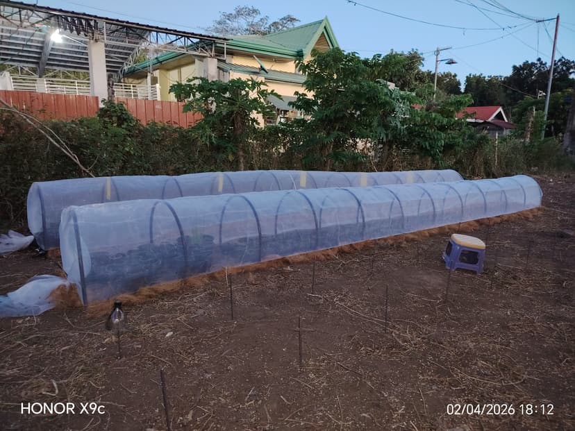 Lee G. Quiño PSIC 01171