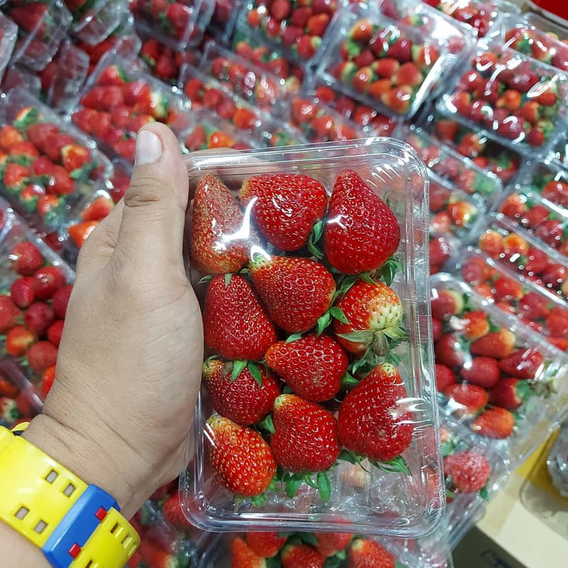 FRESH STRAWBERRIES